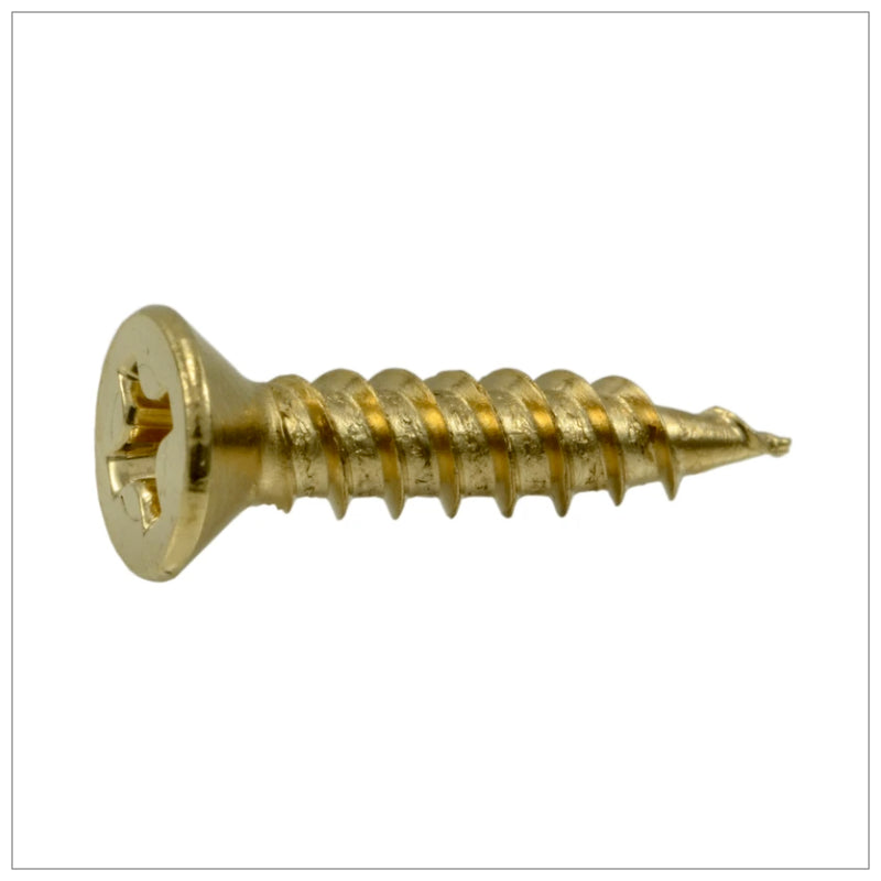 Hinge Screws