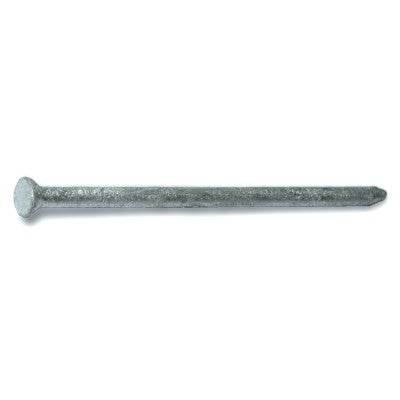 8d 2-1/2" Hot Dip Galvanized Steel Casing Brad Head Nails