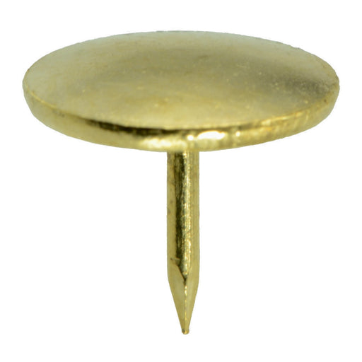 19 gauge x 0.4" Brass Thumb Tacks