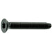 5/16-18 x 2-1/4" Star Drive Black Floor Board Saberdrive Screws