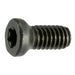 #6-40 x 1/4" Black Oxide Steel Fine Thread T-10 Star Drive Weaver Oval Head Gun Screws