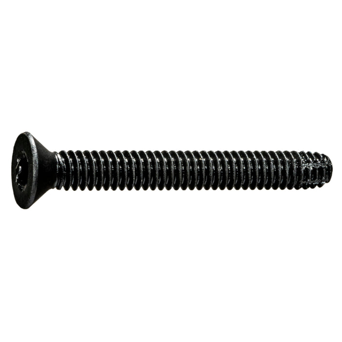 1/4-20 x 2" Star Drive Black Floor Board Saberdrive Screws 1 lb. Box (45 pcs.)