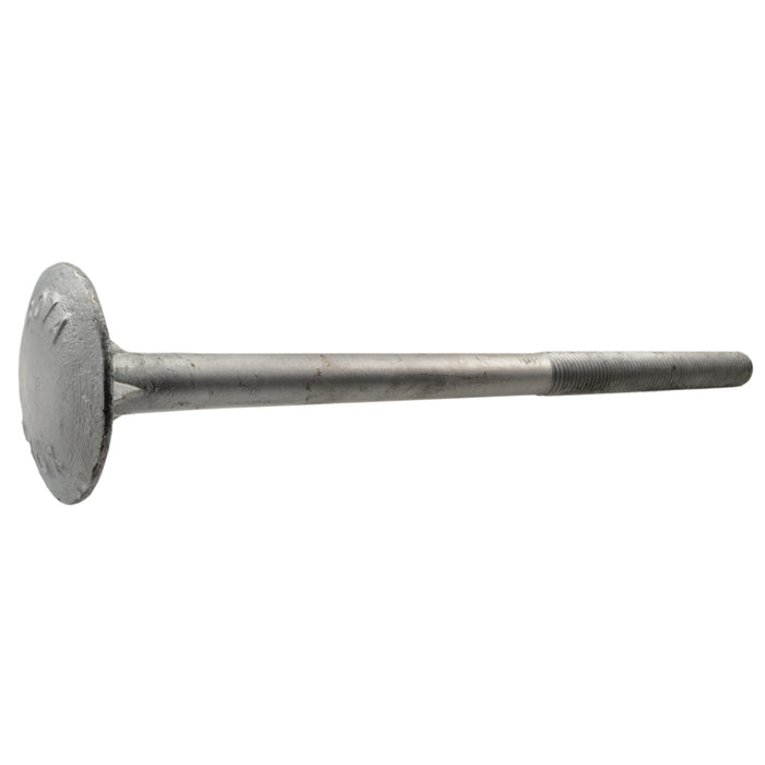 3/4"-10 x 14" Galvanized Steel Coarse Thread Dome Timber Screws